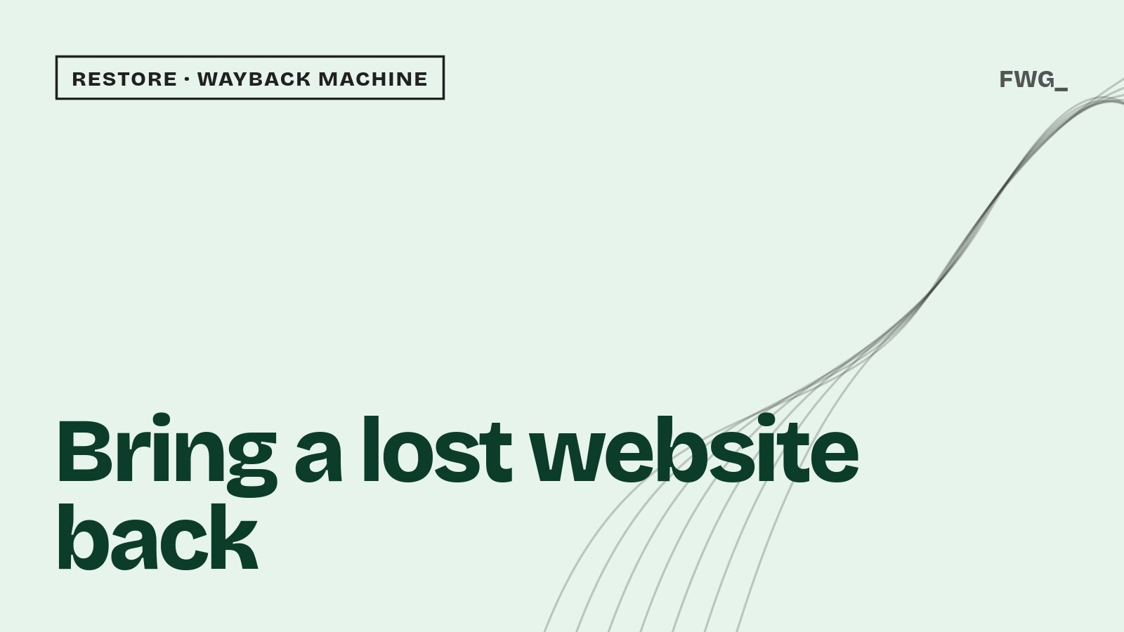 Bring a lost website back