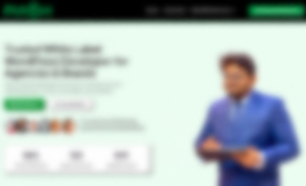 WordPress Developer
